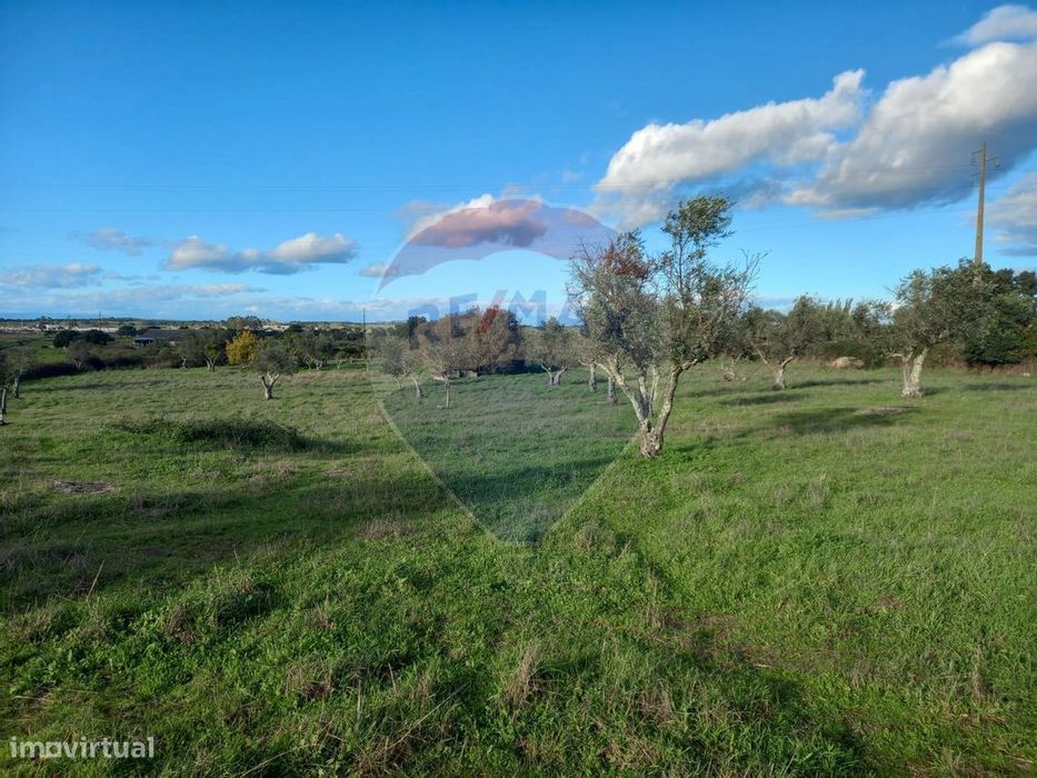Terreno  para venda — Monte da Pedra, Portalegre