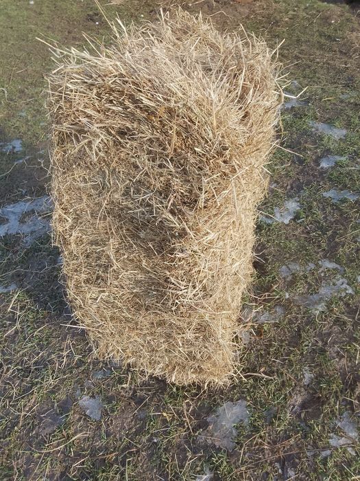 Siano w kostkach i słoma