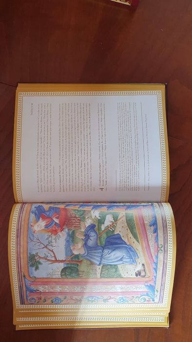 Coleção Livros Bíblia Sagrada Ilustrada