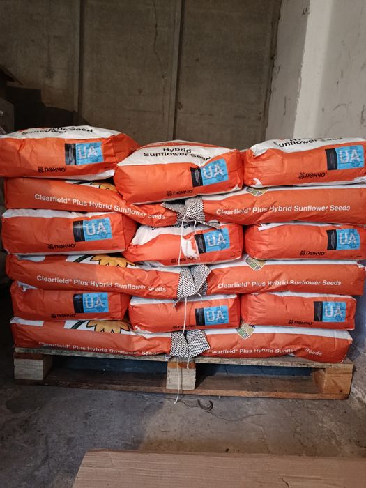 Алуріс насіння соняшнику під євролайтінг плюс