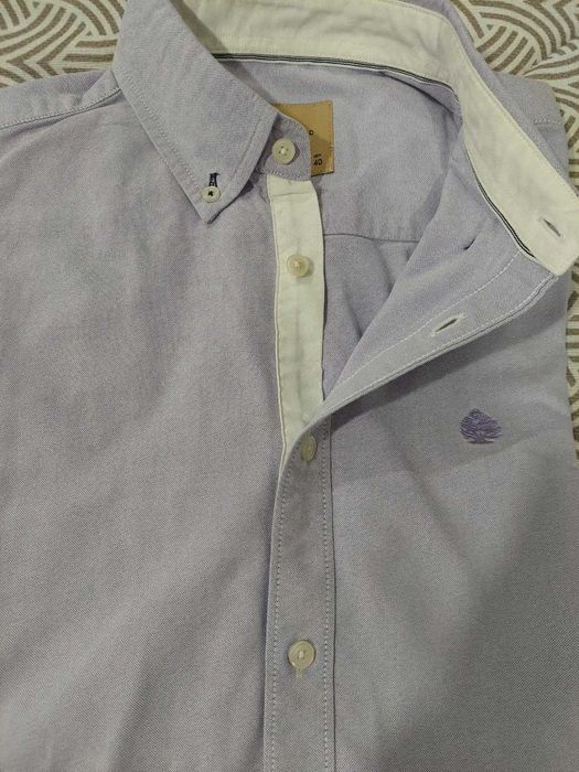 Lote coleção 4 Camisas – Springfield - tamanho L eu