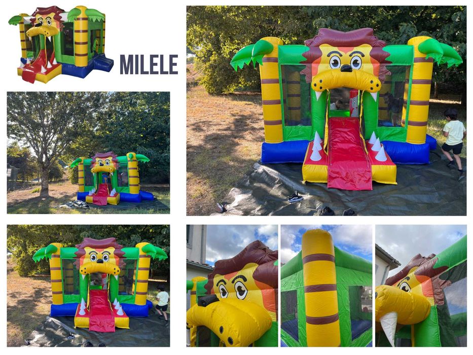 Insuflável MILELE - Solução completa - ALUGUER
