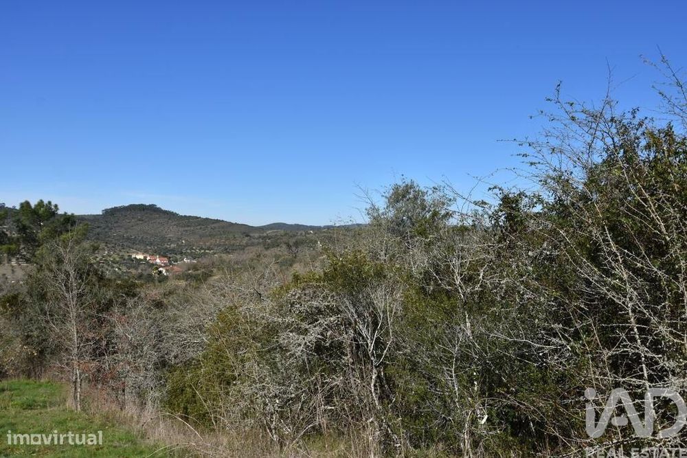Terreno em Chãos de 2000,00 m2