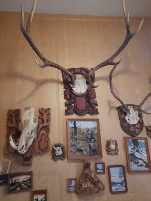 Трофейна колекція