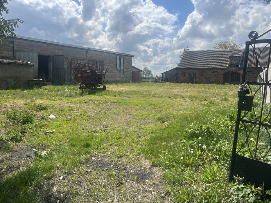 Wynajmę Budynki gospodarcze Grodkowo Włóki