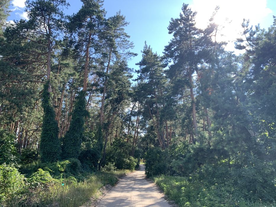 Дача , Їжаківка( Ковалівка), 10км від Полтави