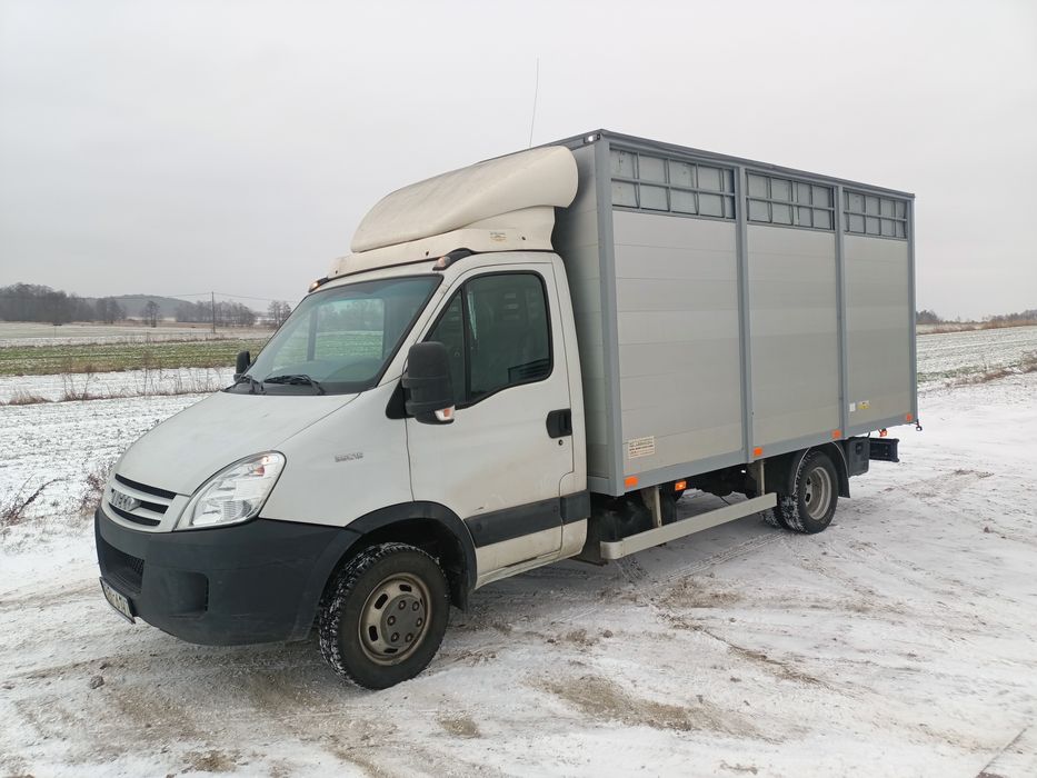 Iveco do Żywca zwierząt bydła