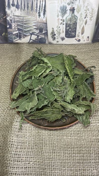 Лист крапиви сушений, крапива сушена, лікарські трави