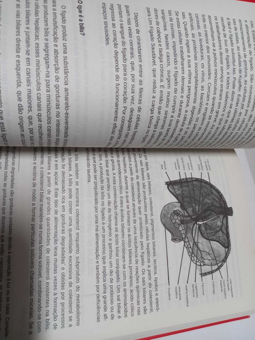 Livro: Emagreça com Saúde - um fígado saudável - Dra. Sandra Cabot