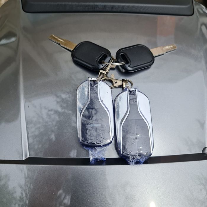 Mota Goose Fox litio