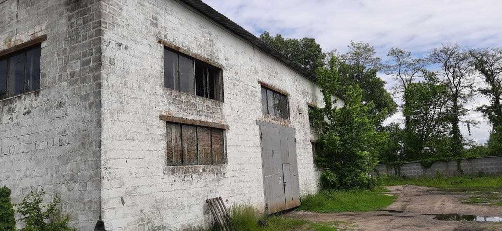 Здам в оренду складські та виробничі приміщення. Поділ.