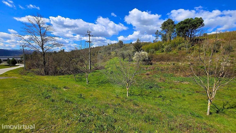 Terreno  para venda — Ferreirim E Macieira, Viseu