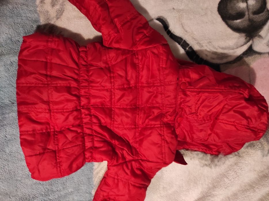 Kurtka dla dziewczynki