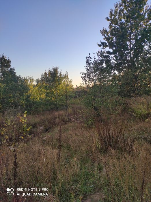 Продаж земельної ділянки 7,8 га в селі Романків Сонячна долина своя ТП