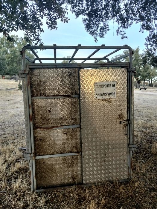 Caixa de transporte de animais