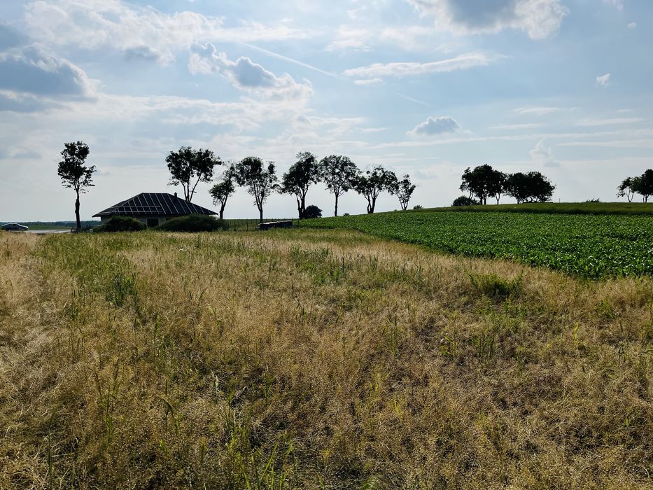 Atrakcyjna działka / 6 km od Brodnicy / wokół jeziora