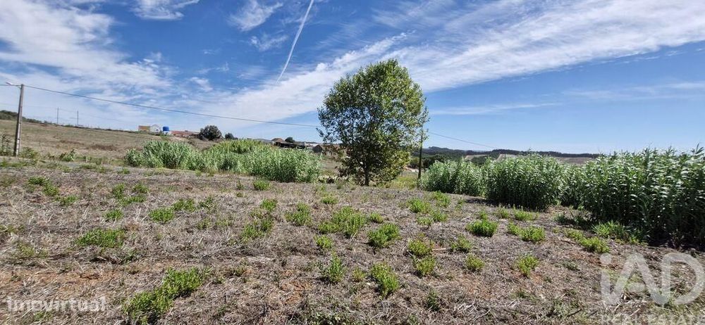 Terreno em Alcobertas de 1600,00 m2