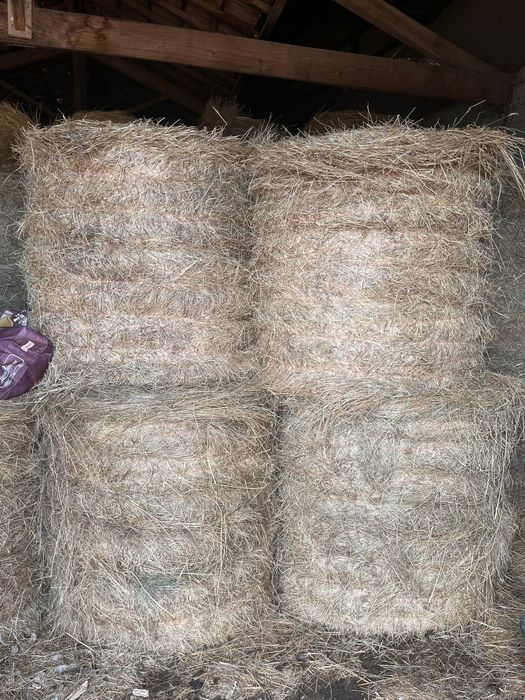 Rolo feno de erva com 1,20x1,20