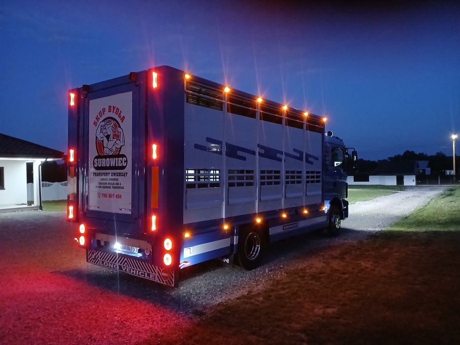 Skup bydła i cieląt SUROWIEC.  Gotówka,  przelew 24 H