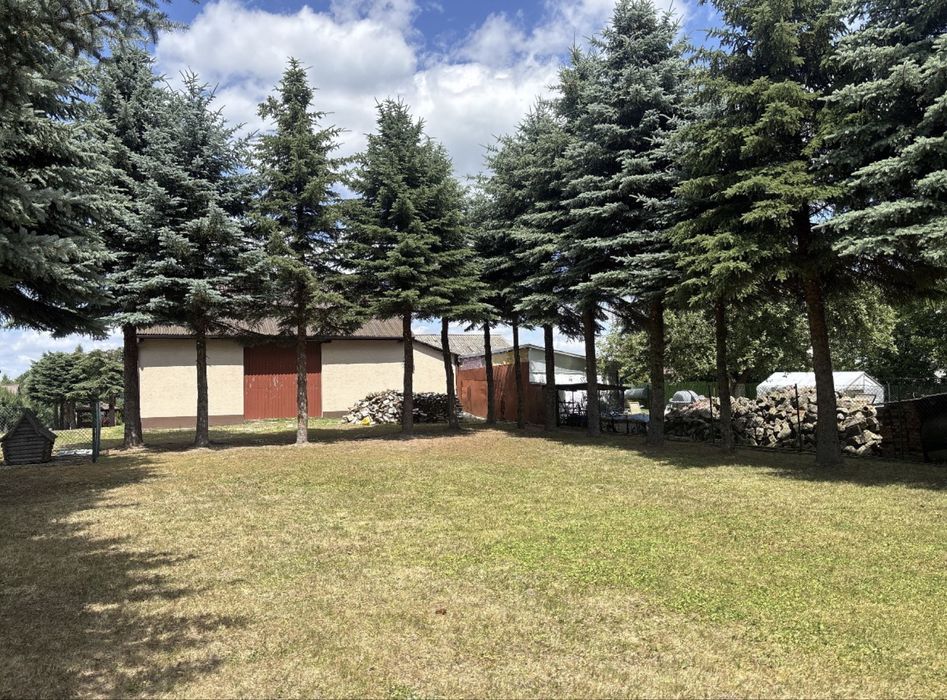 Pielęgnacja ogrodów | Koszenie | Trawniki | Wycinka |