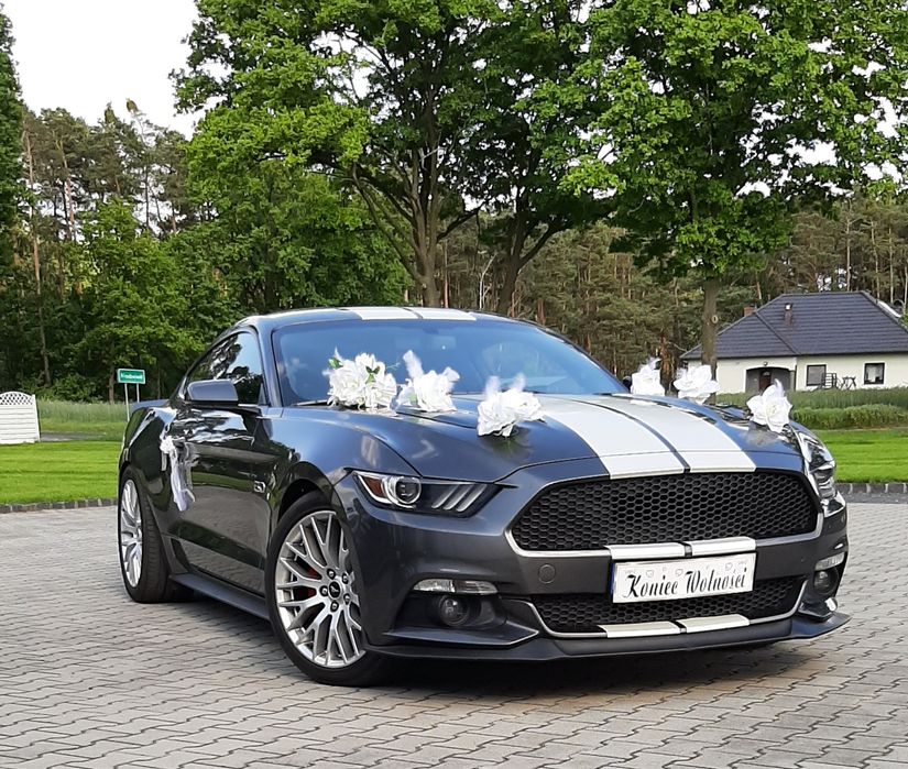 Auto do Ślubu Ford MUSTANG GT 5.0 V8 wynajem samochodu na wesele