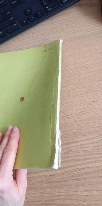 książka Zuchwały strzyżyk - Janina Porazińska
