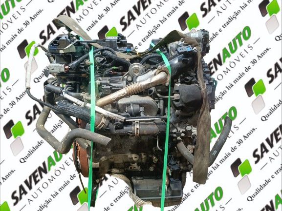 Motor completo FORD Transit Connect II (V408)