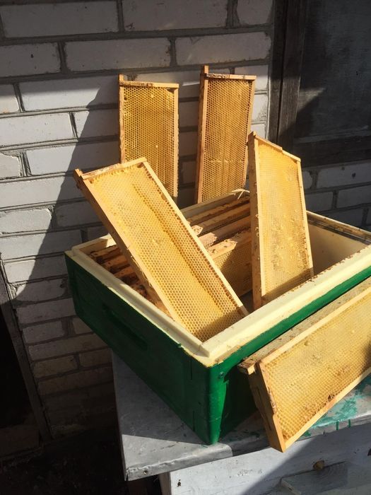 Рамки пчелиные 145 и 300.Сушь.Вощина