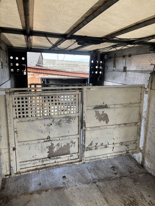 Transport żywych zwierząt i inne