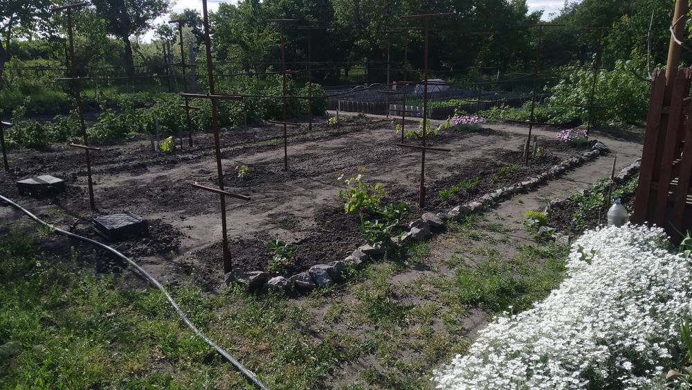 Продам дачу. На берегу р. Волчья. Павлоградский район.