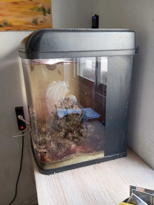 aquários de água doce e salgada de diferentes tamanhos