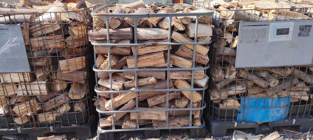 Lenha eucalipto seca