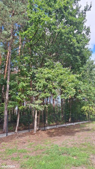 Dom Legionowo Serock Marynino Skowronkowa pod lasem