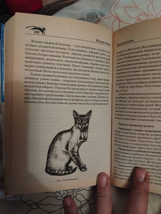Практическая энциклопедия любителей кошек