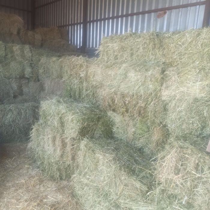 Сіно гарної якості