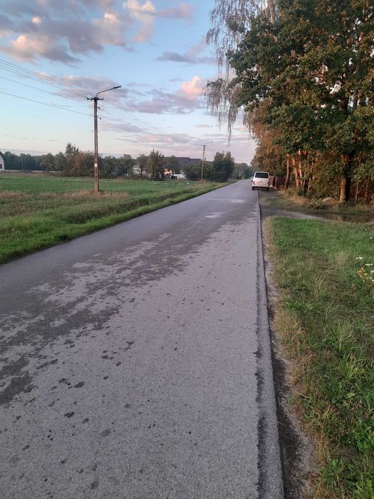 Zdjęcie 7