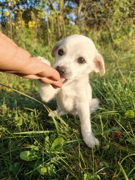 Na Wschodzie nie czeka mnie nic... Oprócz budy