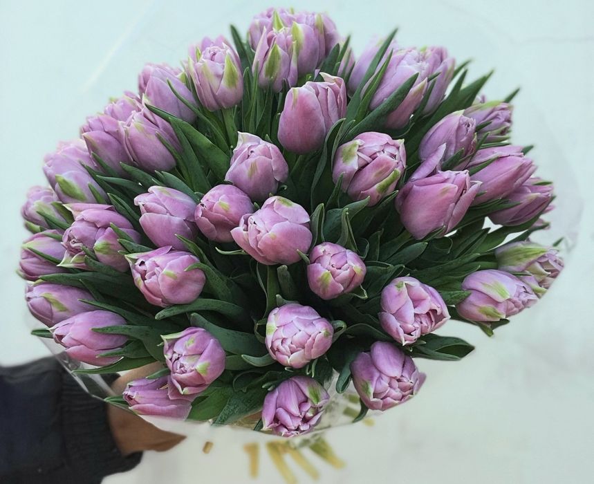 Тюльпаны!!! 51шт, 101шт,201шт,тюльпани,цветы,букеты,букети,квіти, тюль