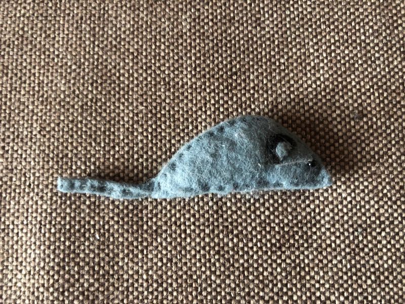 Acessórios para gato desde...