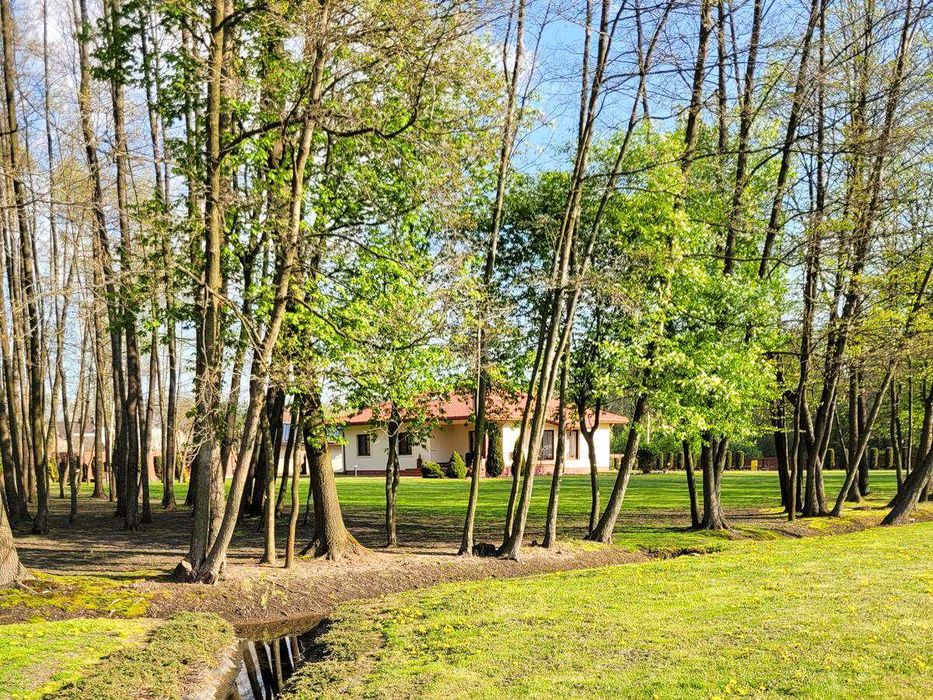 Dom – Wylów - Widok 4
