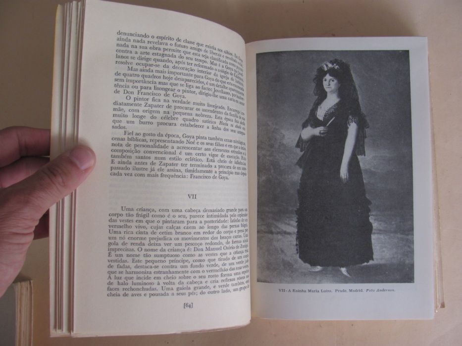 Goya – A sua vida e a sua obra de Antonina Vallentin