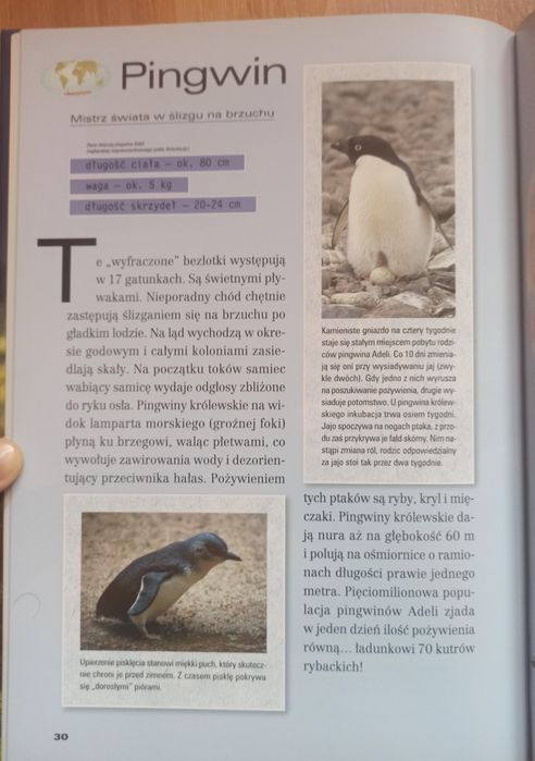 Niezwykłe zwierzęta - JAK NOWA