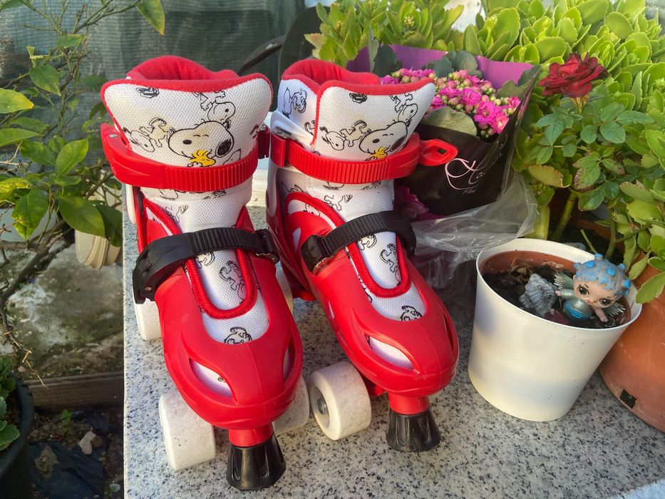 Patins de linha e de roda