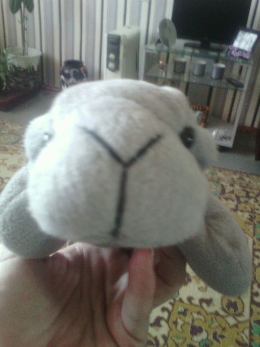 небольшая игрушка мягкая внутри с наполнителем