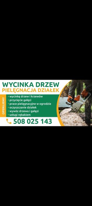 Czyszczenie działek/ wycinka samosiejek/drzew/ sprzedaż Drewna