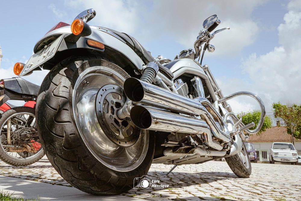 Venda harley v-rod