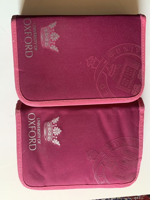 Школьный пенал для девочек