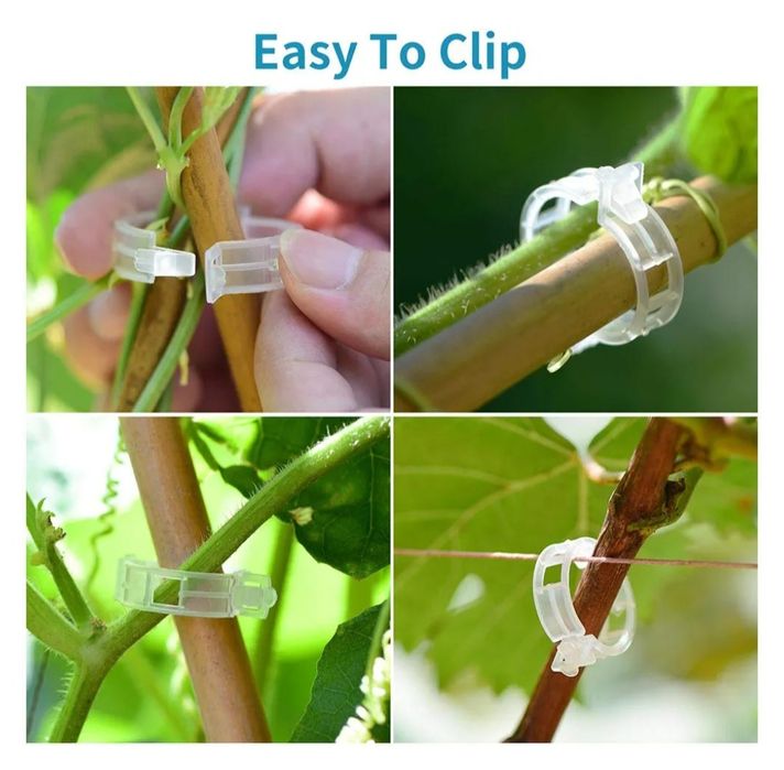 Zaciski do roślin pomidorów/ winogron