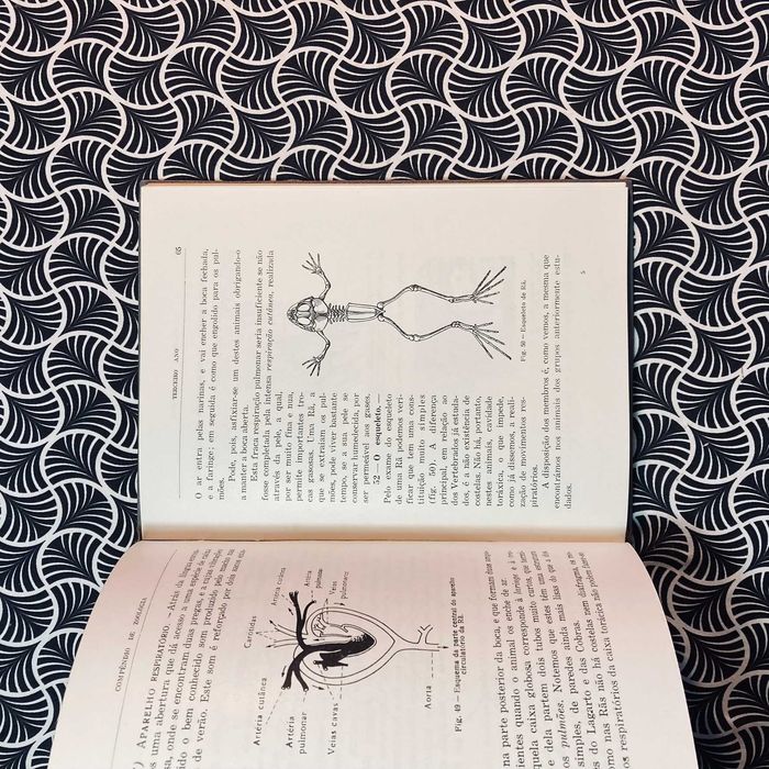 Compêndio de Zoologia para o 2º Ciclo Liceal para o 3º Ano