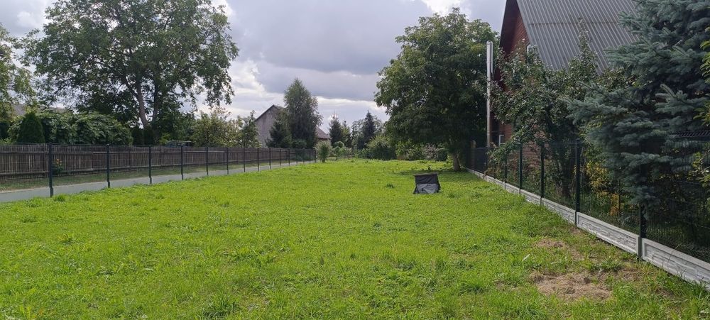 Zdjęcie 5